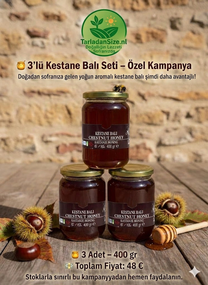 3’lü Kestane Balı Seti (3*400)