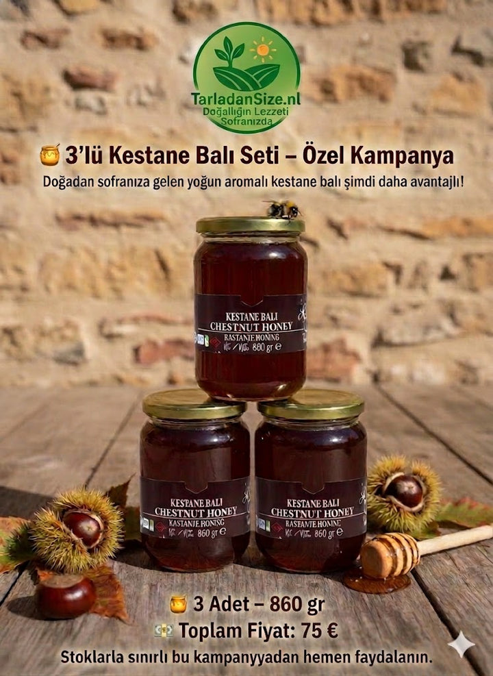 3’lü Kestane Balı Seti (3*900)